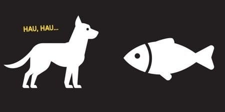 Zwierzaki. Książeczka kontrastowa