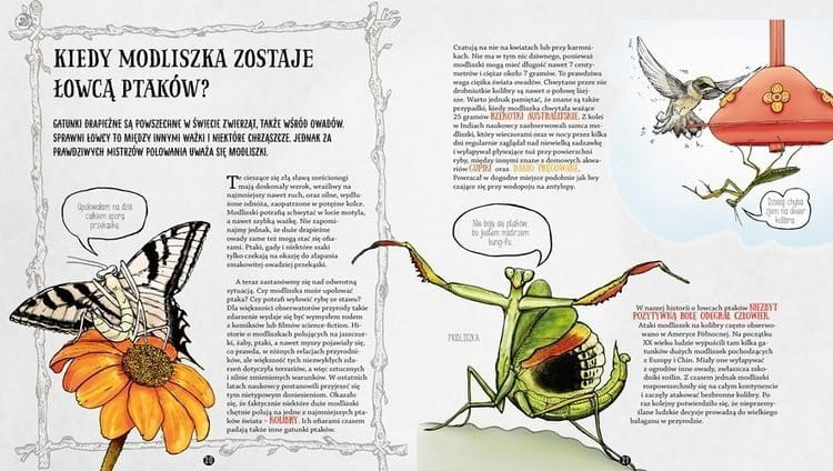 Owadziarium, czyli geniusz owadów