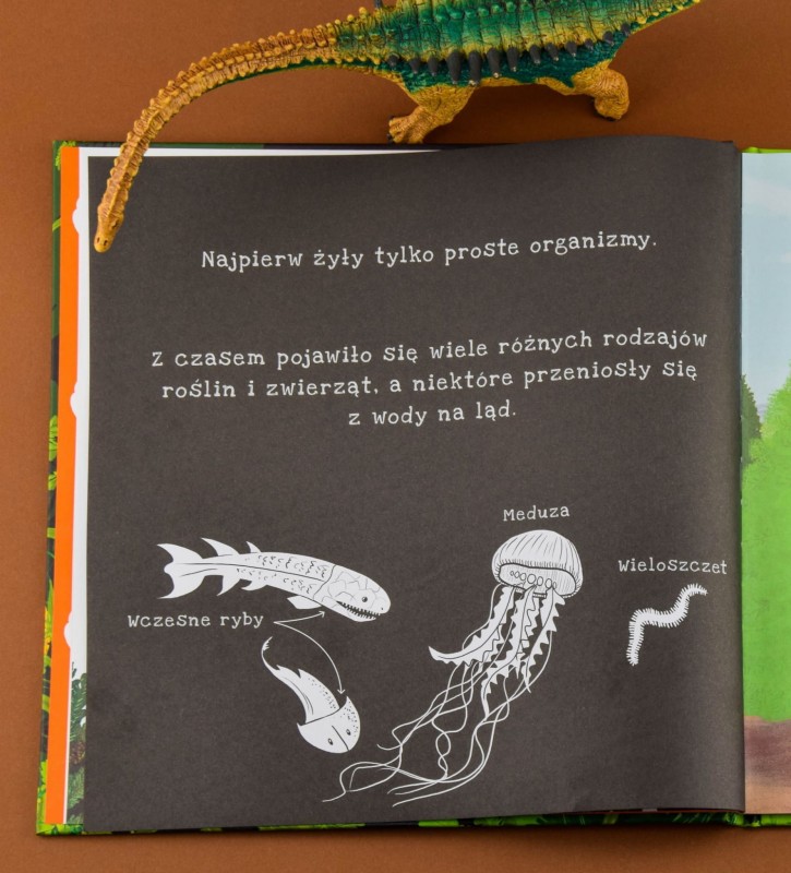 Dinozaury. Podświetl i Odkryj.