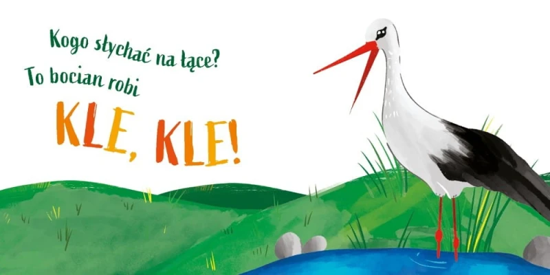 Co słychać. Hau, hau i inne dźwięki zwierząt