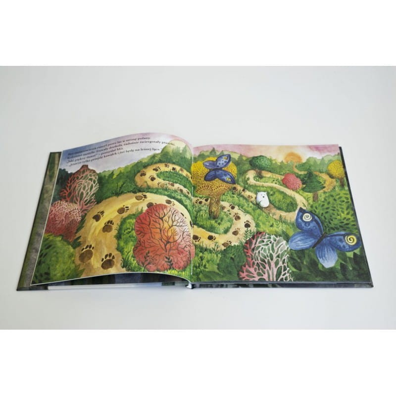 Miś i Ciemność - Książka