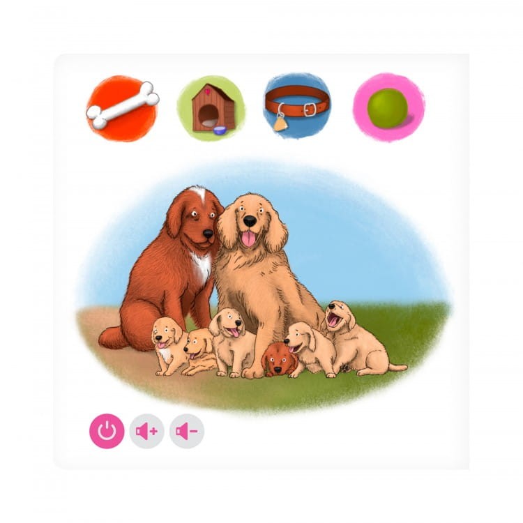 Mini książka Domowe zwierzęta - Czytaj z Albikiem