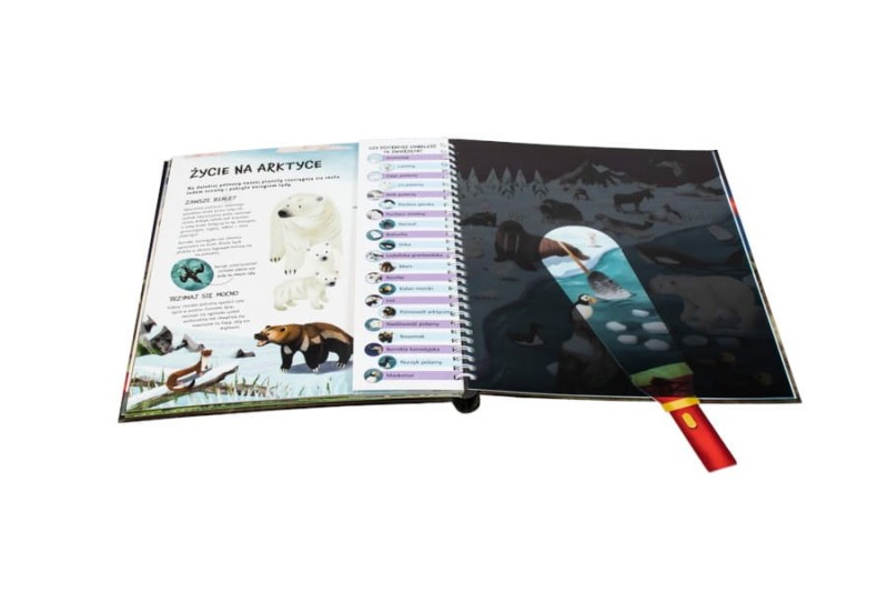 Zwierzęta nocą. Nocne safari z latarką w ręku