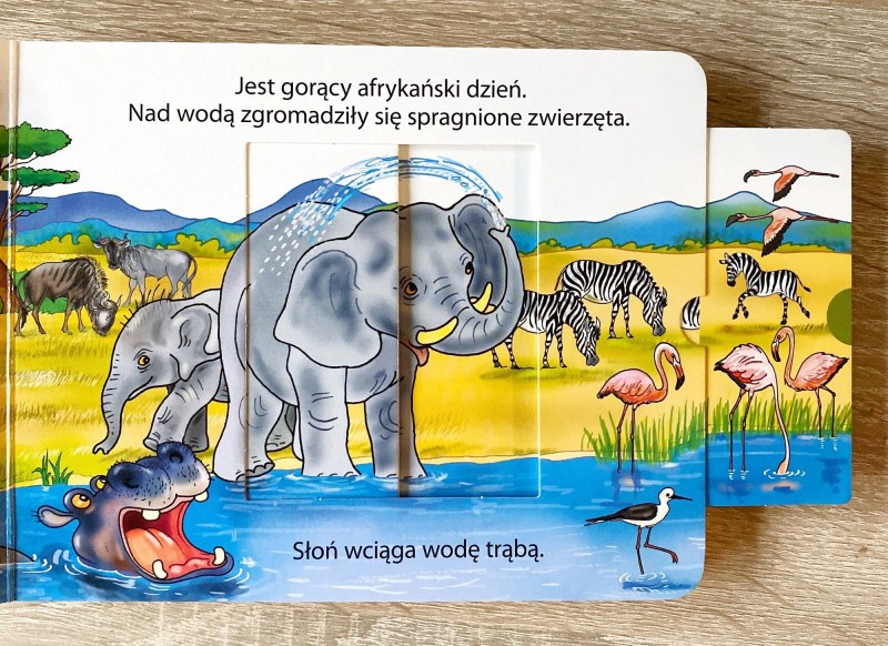 Wysuń i wsuń. Świat zwierząt