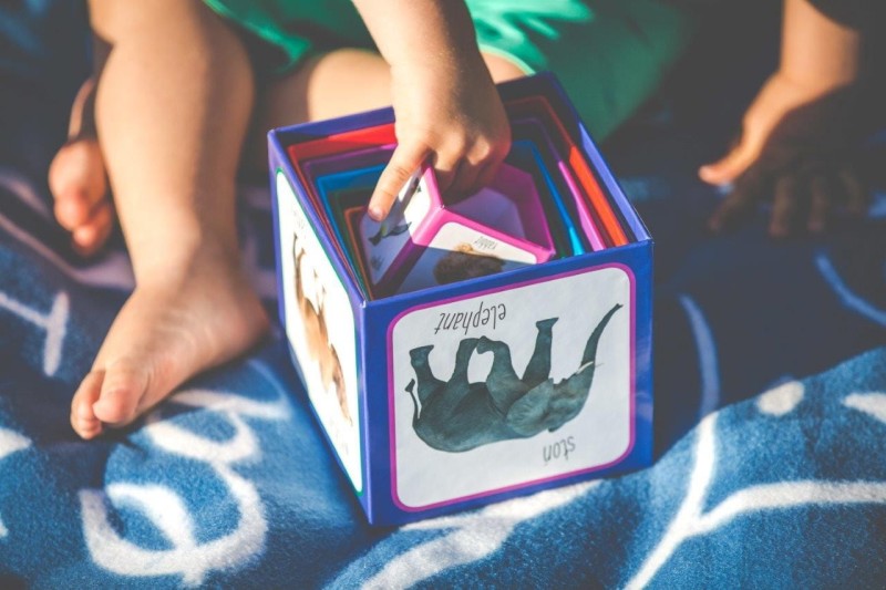 Kartonowe Klocki Wieża Zwierzęta - Piramida Zabaw