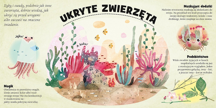 Kto się chowa na lądzie i w wodzie?