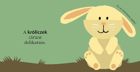 Wszyscy ziewają. Książka z otwieranymi okienkami