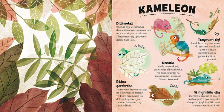 Kto się chowa w lesie i na śniegu?