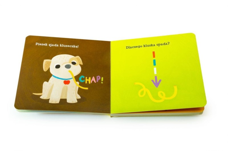 Grawitacja! Akademia mądrego dziecka. Bobas odkrywa naukę