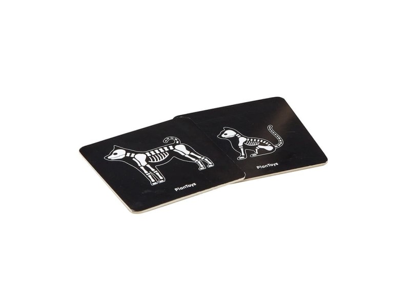 Zestaw małego weterynarza - PlanToys
