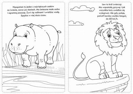 Kolorowanka z naklejkami Niesamowite Safari - 74 naklejki