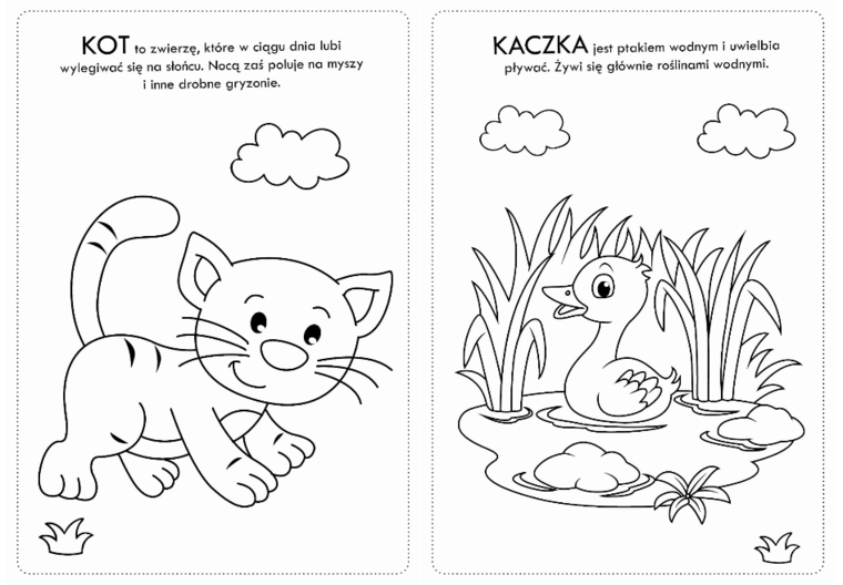 Kolorowanka z naklejkami Zwierzaczki wiejskie - 74 naklejki