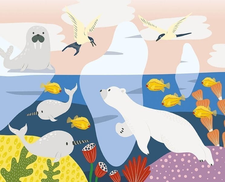 Wydrapywanka zdrapki Ocean10 szt. - Auzou