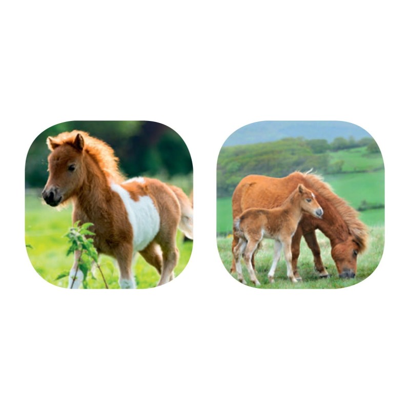 Projektor Latarka Konie - moses