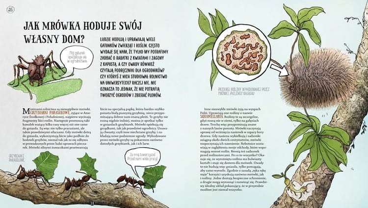 Owadziarium, czyli geniusz owadów