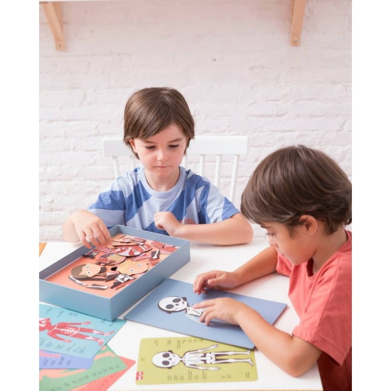 Ciało Człowieka Magnetyczna Układanka - Apli Kids