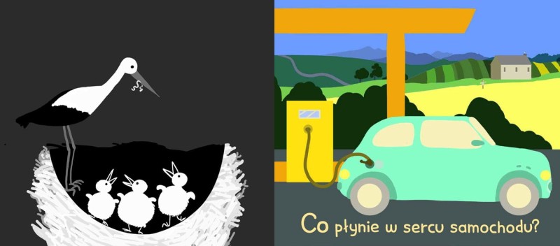 Co tu się schowało? Odkrycia z latarką - Krzysztof Zięba