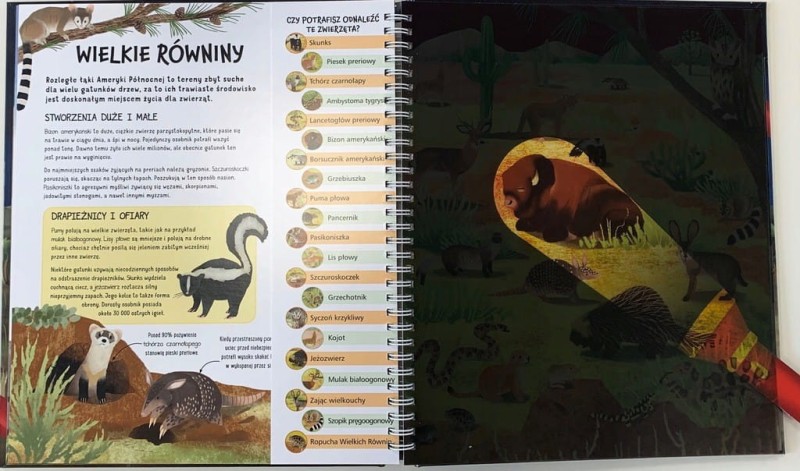 Zwierzęta nocą. Nocne safari z latarką w ręku