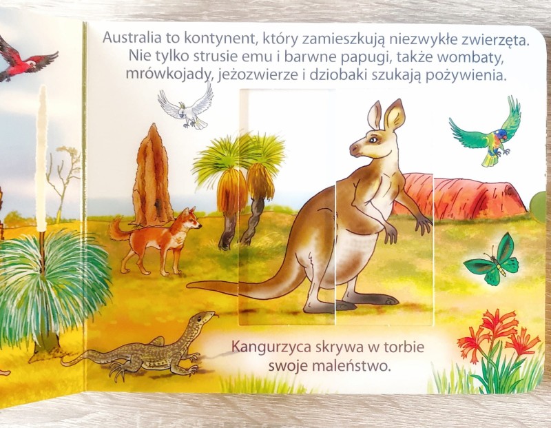 Wysuń i wsuń. Świat zwierząt