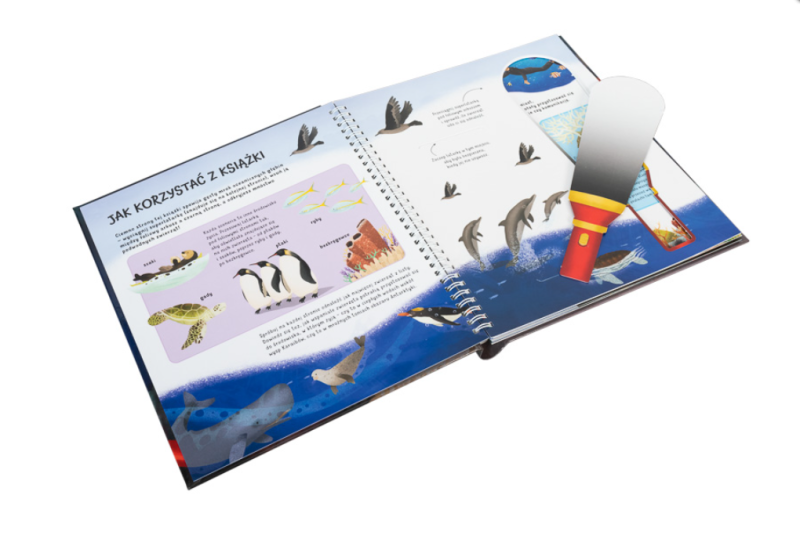 Tajemnice głębin oceanu Podmorska wyprawa z latarką w ręku – dla odważnych nurków!