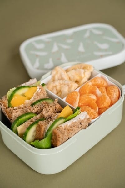 Lunchbox śniadaniówka z widelczykiem Goose - Little Dutch