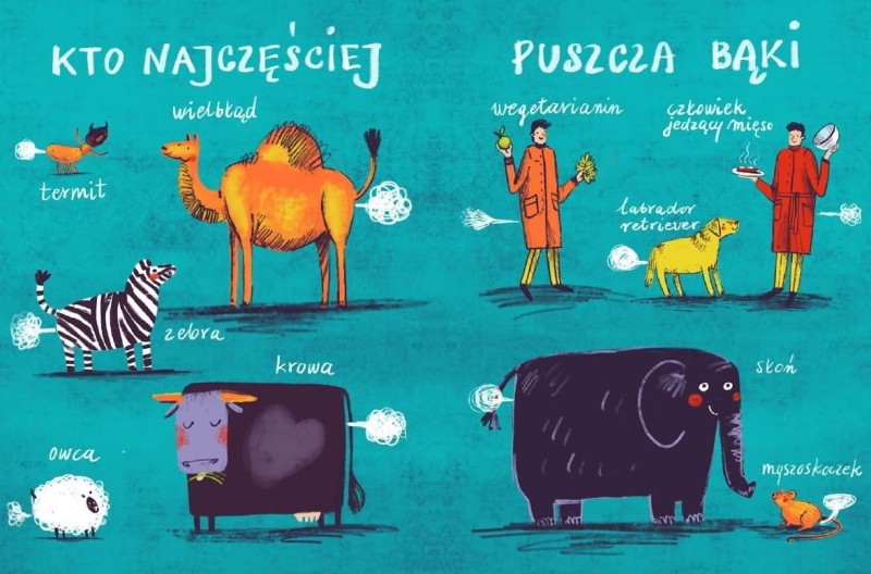 Robią to… wszyscy - Biełowa Ałła