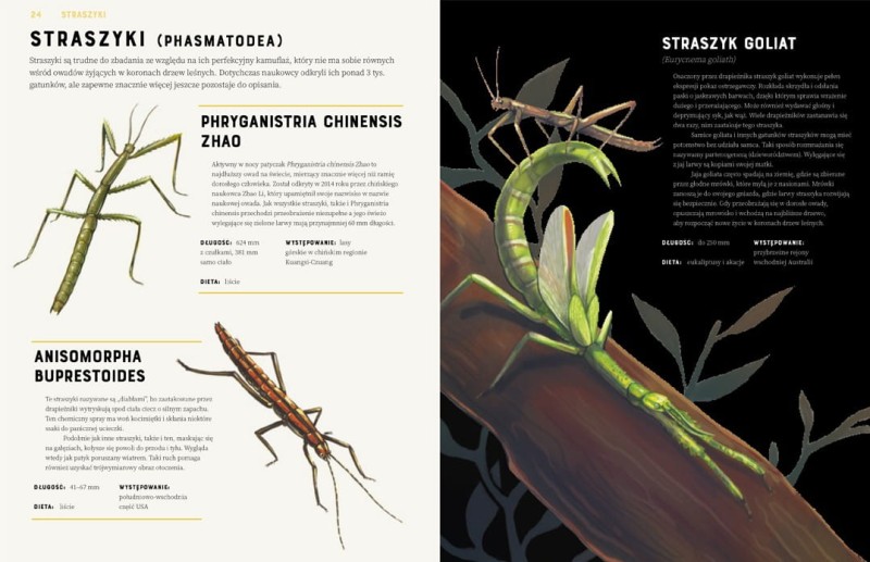 Owady od A do Z -  Jules Howard - Prawie 300 Gatunków