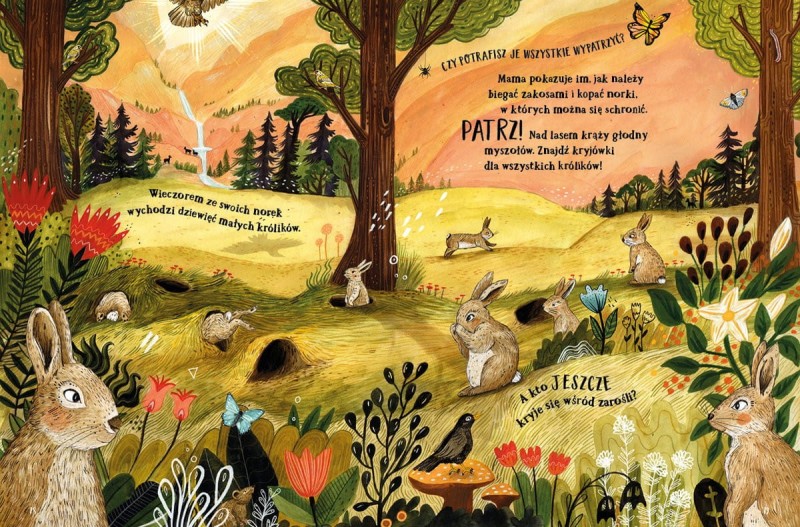 Tajemniczy las - Sandra Dieckmann