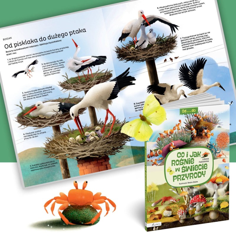 Co i jak rośnie w świecie przyrody. Od...do.