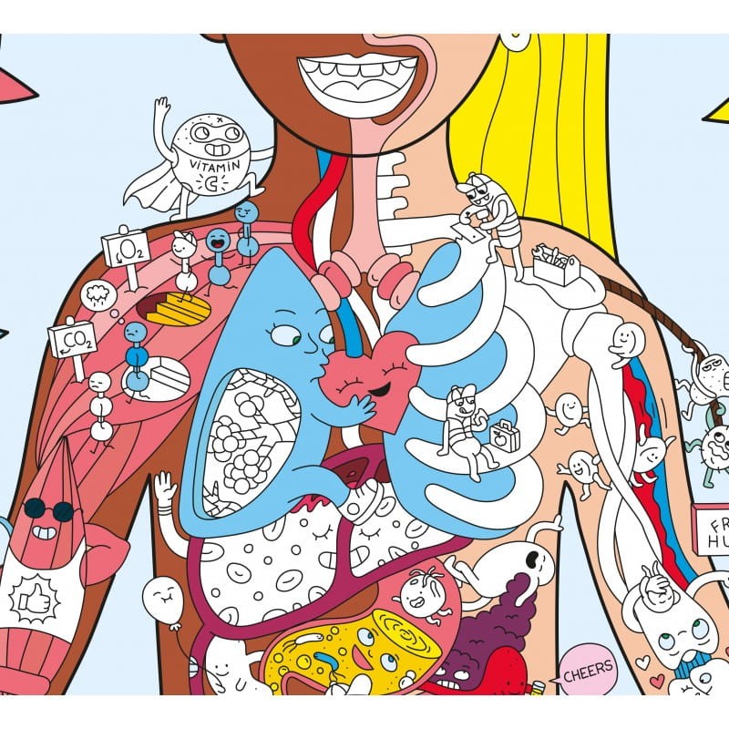 Plakat z Naklejkami Ciało Człowieka - omy