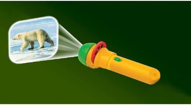 Projektor Latarka Zwierzęta Egzotyczne - Brainstorm