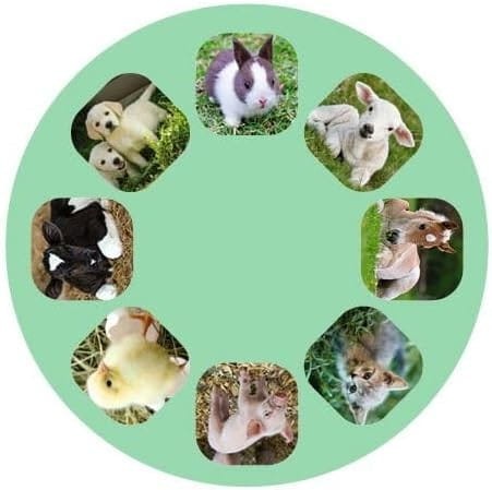 Projektor Latarka młode zwierzęta - moses