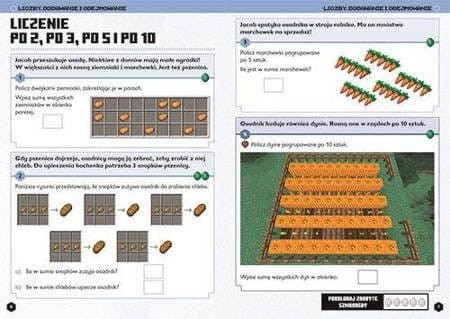 Minecraft. Matematyka. Megazadania. Wiek 8+