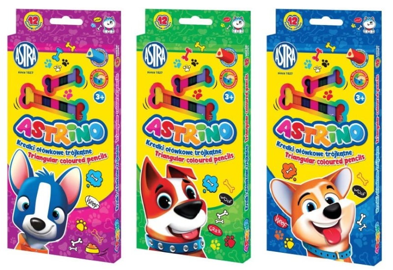 Wyprawka szkolna artykuły plastyczne i papiernicze 20 elem.