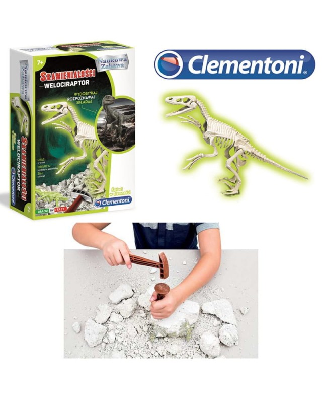 Skamieniałości dinozaur Welociraptor Clementoni