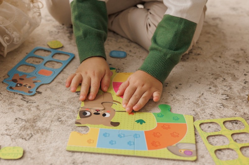 Gra planszowa Jak Zajmować Się Zwierzątkiem Ludattica