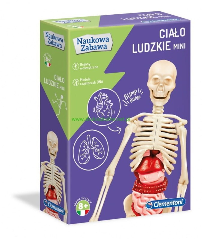 Ciało ludzkie szkielet i narządy Naukowa Zabawa Clementoni