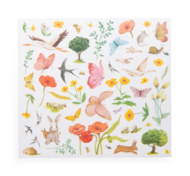 Kalkomania obrazki do kopiowania Las zwierzęta i rośliny Moulin Roty