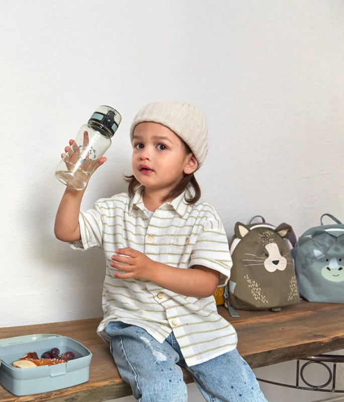 Zestaw śniadaniówka i bidon Dinozaur Lassig