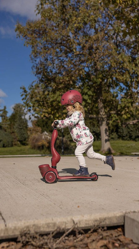 Hulajnoga Jeździk 2w1 ze schowkiem Highwaykick 1 Lifestyle Wildcat Scoot & Ride