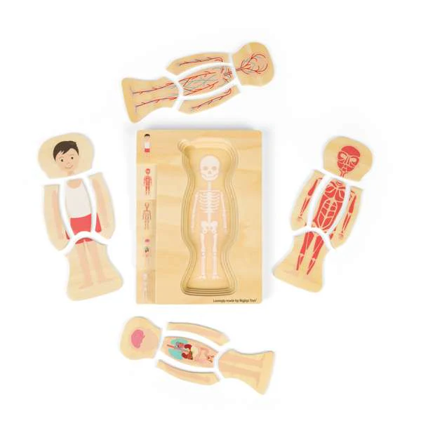Ciało człowieka chłopiec układanka warstwowa Bigjigs Toys