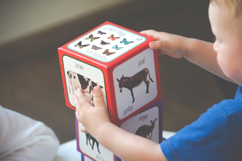 Kartonowe Klocki Wieża Zwierzęta - Piramida Zabaw