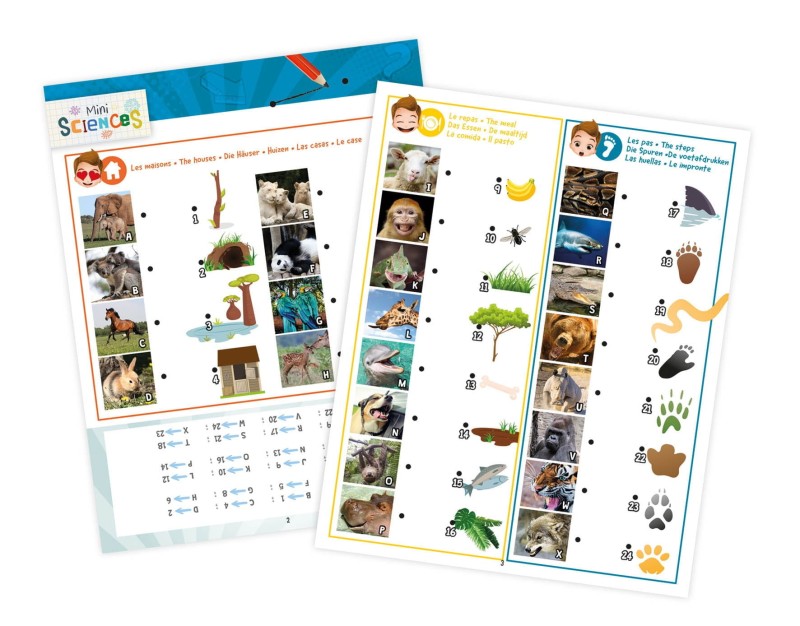 Projektor Zdjęć Zwierząt Latarka Lampka Nocna - Buki