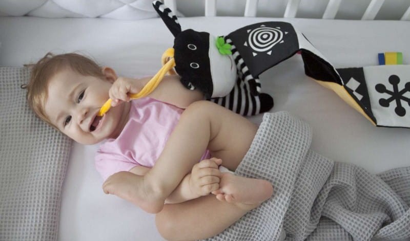 Książeczka Kontrastowa do Łóżeczka Krówka - Mom's Care