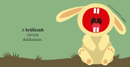 Wszyscy ziewają. Książka z otwieranymi okienkami