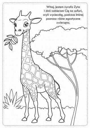 Kolorowanka z naklejkami Niesamowite Safari - 74 naklejki