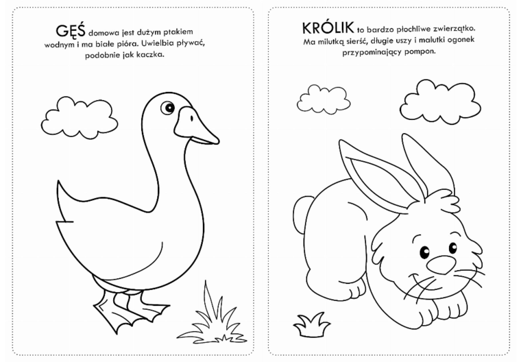 Kolorowanka z naklejkami Zwierzaczki wiejskie - 74 naklejki