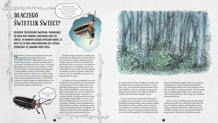 Owadziarium, czyli geniusz owadów