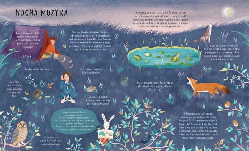 Po ciemku, czyli co się dzieje w nocy