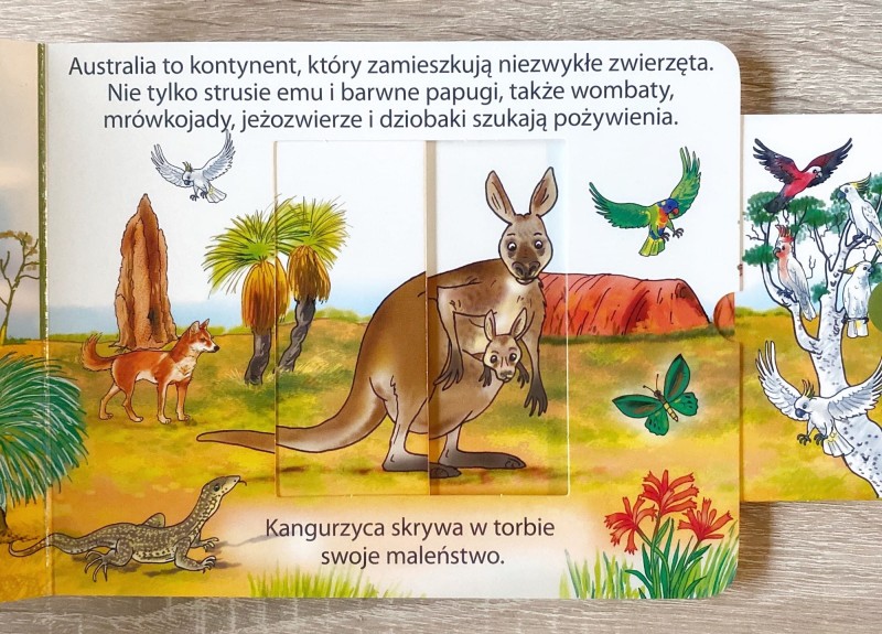 Wysuń i wsuń. Świat zwierząt